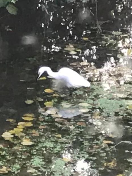 Reveil Aux Chants Des Oiseaux Asse-le-Riboul Exterior foto