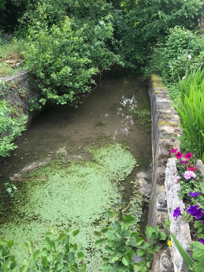 Reveil Aux Chants Des Oiseaux Asse-le-Riboul Exterior foto
